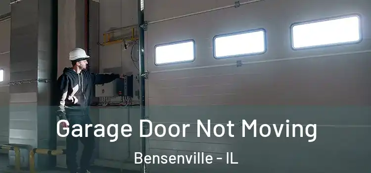 Garage Door Not Moving Bensenville - IL