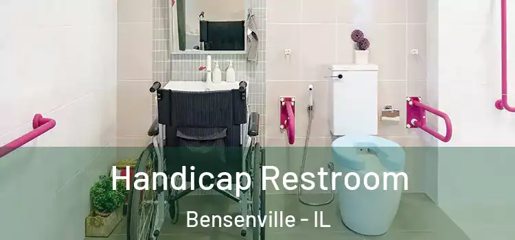  Handicap Restroom Bensenville - IL
