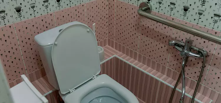 Meeting Diverse Needs With Accessible Restroom Solutions in Bensenville, IL