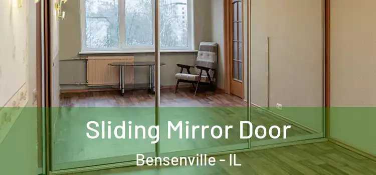  Sliding Mirror Door Bensenville - IL
